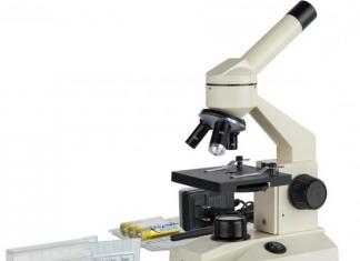 Выбираем микроскоп для детей и растим гениев Бинокулярный микроскоп что можно увидеть