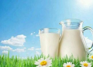 Молочные продукты: плюсы и минусы, о которых надо знать