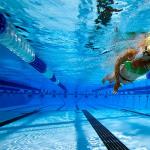 Плавание: как научиться держаться на воде вертикально