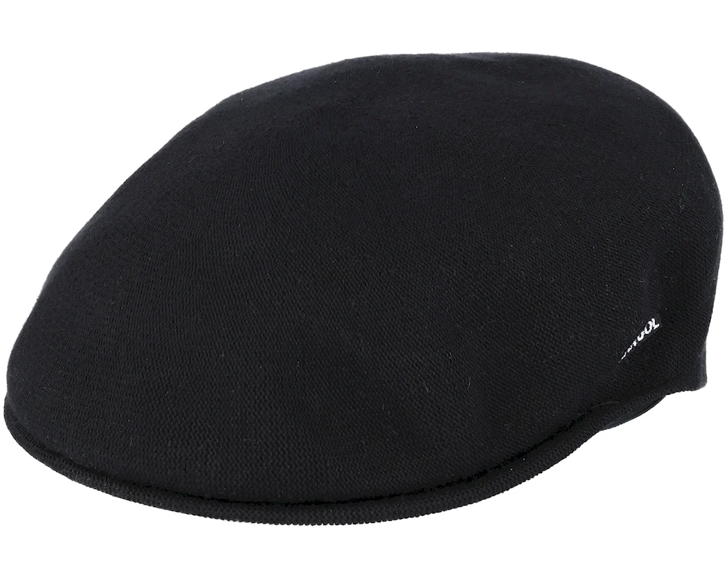 Кепка Kangol 1471901651