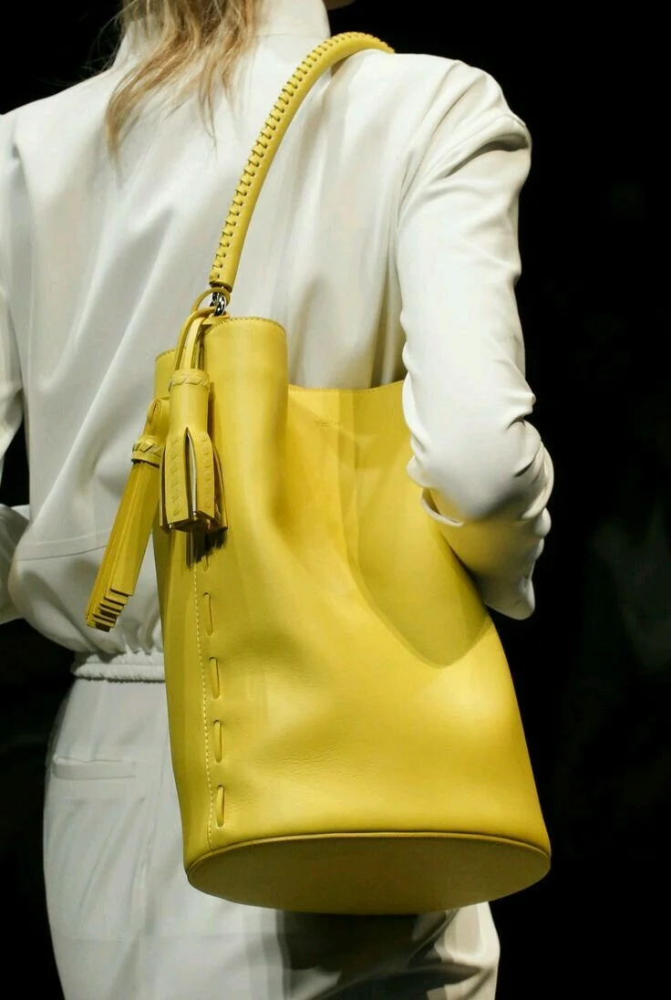 Max Mara Bag