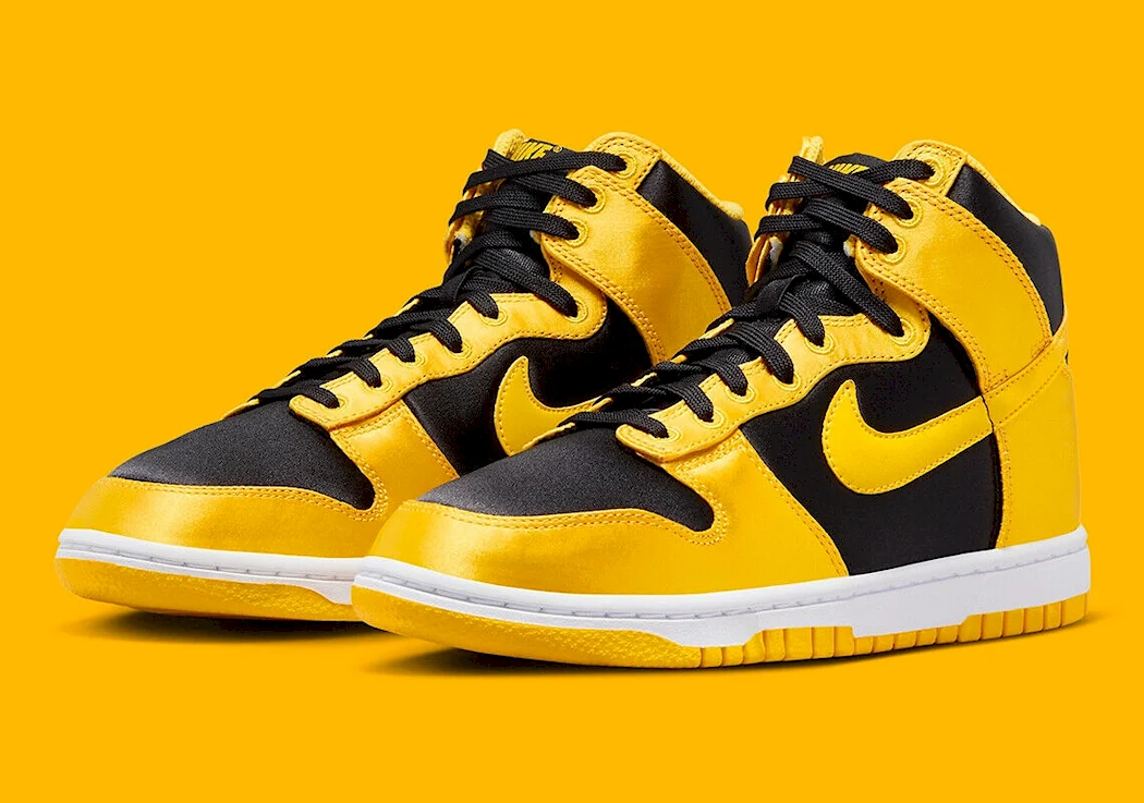 Nike Dunk 2023