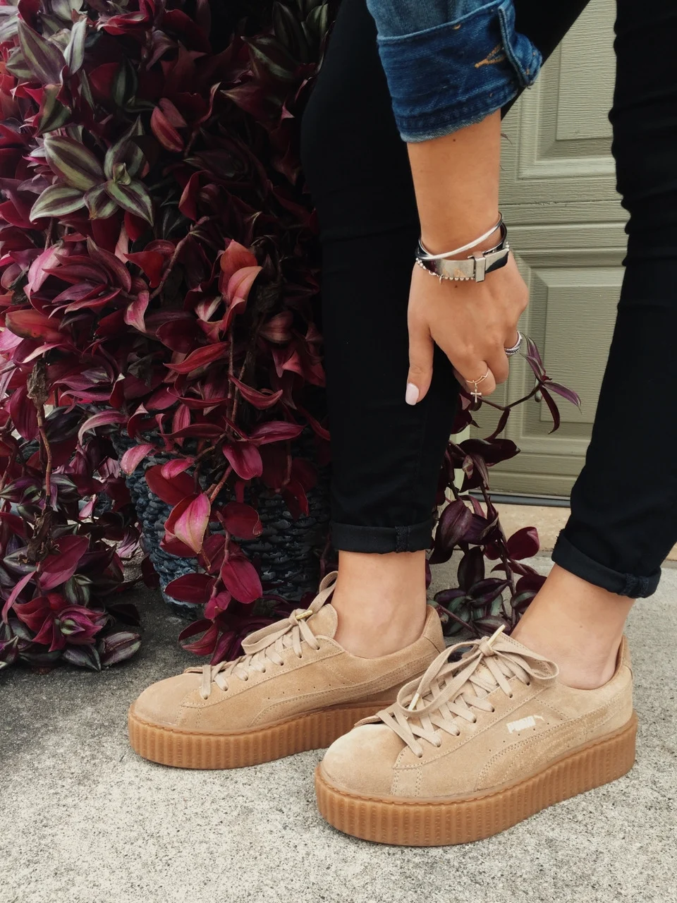 Puma Creeper